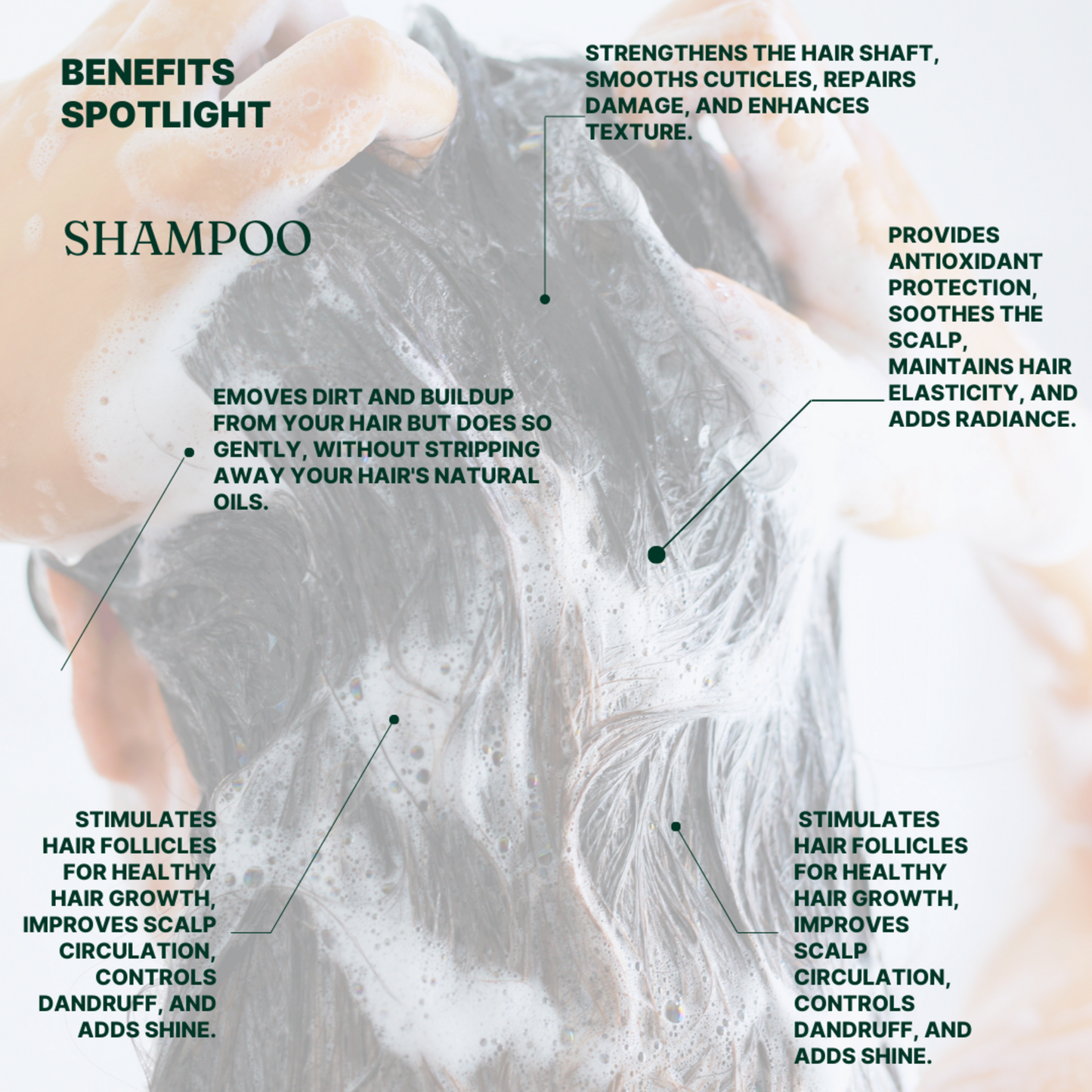 HAIRCARE BUNDLE